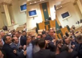 Gürcüstan parlamentində qalmaqal: Deputatlar arasında dava düşdü 